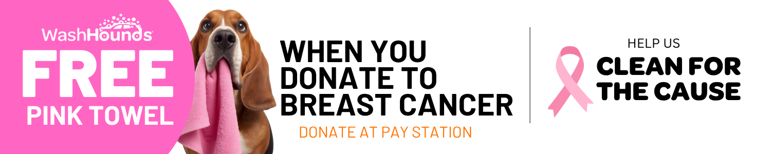Breast Cancer Banner