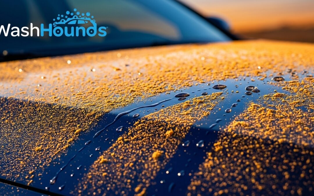 Pollen Is Killing Your Car (And You Don’t Even Know It)
