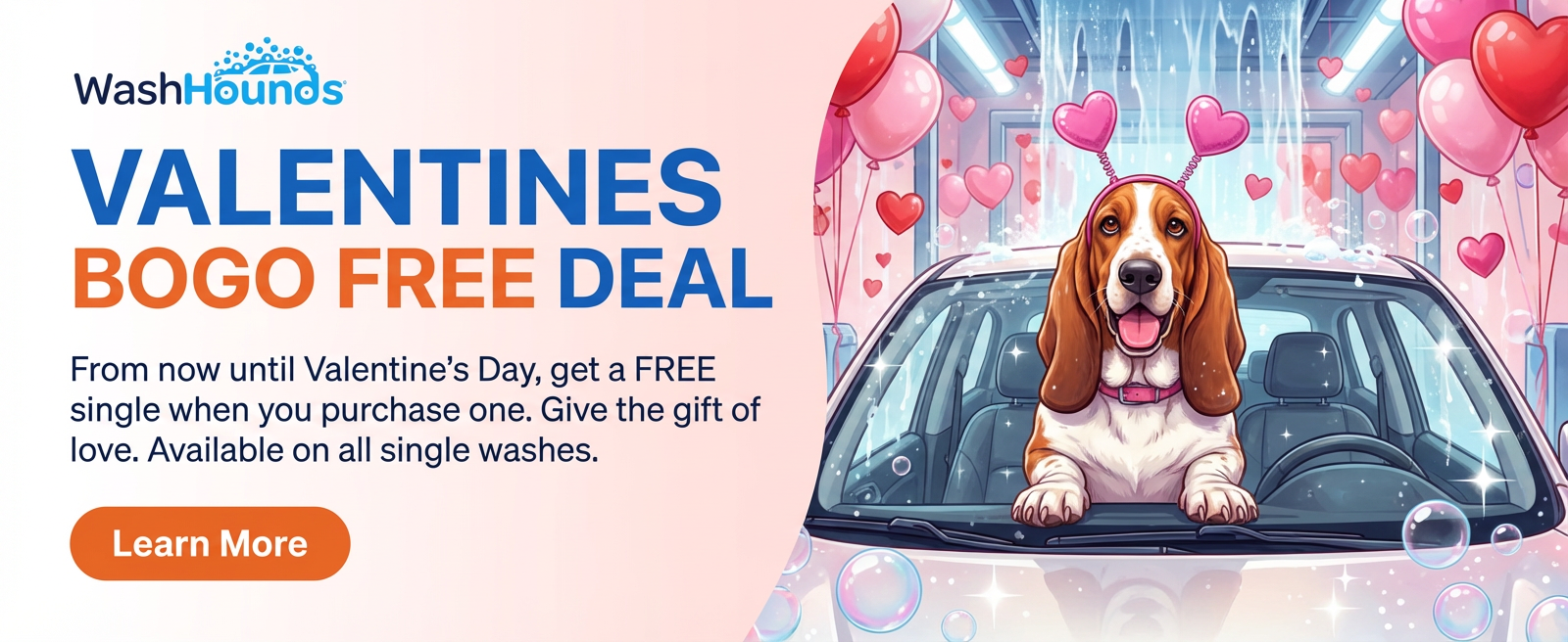 Wash Hounds Banner 1920x800(4) Wash Hounds Banner 1920x800(4)